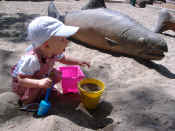 2008_0709July20080154.JPG (151081 bytes)