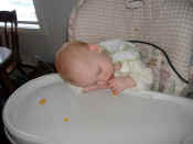 DSCF1551.JPG (81825 bytes)