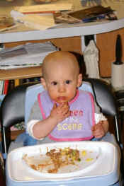 PICT0003 (Medium).JPG (44710 bytes)