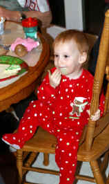 PICT0003.jpg (162775 bytes)