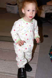 PICT0008w.jpg (88251 bytes)