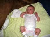 ains1.JPG (65530 bytes)