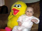 ains6291.jpg (306657 bytes)