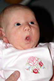 ainsley1 001em.jpg (128234 bytes)