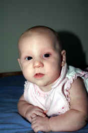 ainsley2n.jpg (132207 bytes)