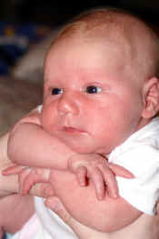 mayains2.jpg (131700 bytes)