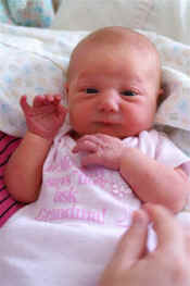 monday 005.jpg (31910 bytes)