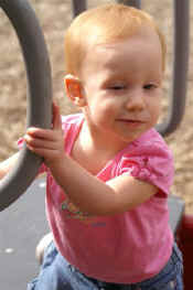 new 005.jpg (33757 bytes)