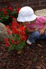 new 009.jpg (53334 bytes)