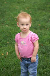 new 010.jpg (36781 bytes)