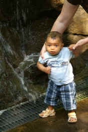 4570_212017040178_750375178_7234244_3125144_n.jpg (58871 bytes)