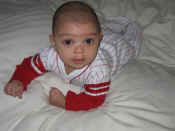 IMG_8350.jpg (52450 bytes)