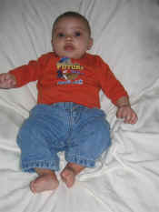 IMG_8376 (Medium).jpg (53787 bytes)