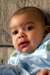 PICT0011.JPG (40165 bytes)