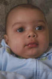 PICT0012.JPG (27761 bytes)