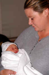 PICT0038.jpg (78352 bytes)