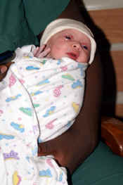 aPICT0016.jpg (83857 bytes)