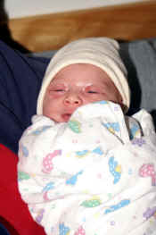 aPICT0018.jpg (81571 bytes)