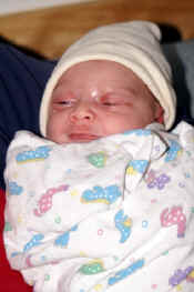 aPICT0019.jpg (84733 bytes)