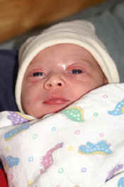 aPICT0020.jpg (78782 bytes)