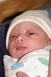 aPICT0021.jpg (78723 bytes)