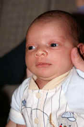 jevon (1).JPG (29299 bytes)