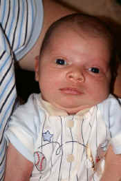 jevon (3).JPG (38422 bytes)