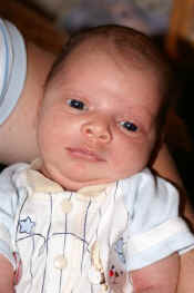 jevon.JPG (33212 bytes)