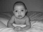 jevonjanfeb (6).jpg (37377 bytes)