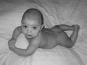 jevonjanfeb (7).jpg (41406 bytes)