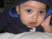 jevonjanfeb (8).jpg (49818 bytes)